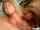 oil threesome big tits
