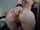 Name of the girl?