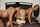 tushy