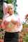 scoreland