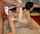 What's the name of this porn star?