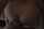 What's the name of this porn star?