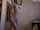 blond teenager teen