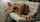 beauty pornpros passionhd