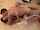 homemade teens brunette