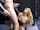 What's the name of this porn star?