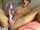 What's the name of this porn star?
