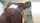 amateur webcam masturbation
