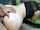 vaginal sex caucasian pov