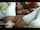 webcam cam cams