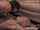 video or pornstars name