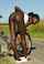 Dannisha S