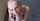 What's the name of this porn star?