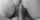lf video