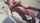 asian r18 r18.com