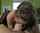 I know who she is but I want full video