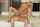 what's the name of this porn actor and video ?