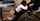 What's the name of this porn star?