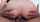 What's the name of this porn star?