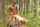 What's the name of this porn star?