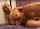 What's the name of this porn star?