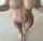 What's the name of this porn star?