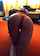 What's the name of this porn star?