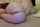 What's the name of this porn star?