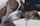 pornpros kink passionhd