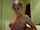 What's the name of this porn star?