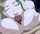 find