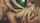 What's the name of this porn star?