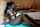 camgirl black teen