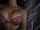 What's the name of this porn star?