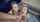 What's the name of this porn star?