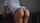 What's the name of this porn star?