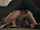 teen teenfidelity pornfidelity