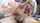 What's the name of this porn star?