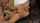 What's the name of this porn star?