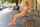 What's the name of this porn star?