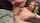 clips4sale