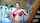 teacher clips4sale