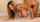 What's the name of this porn star?