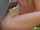 What's the name of this porn star?