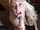 What's the name of this porn star?