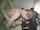 teenager realteeniegf scom