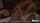 What's the name of this porn star?