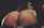 What's the name of this porn star?