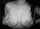 What's the name of this porn star?