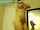 blond webcam blonde